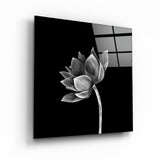 ・"Lotus in Shadow"・Glass Wall Art