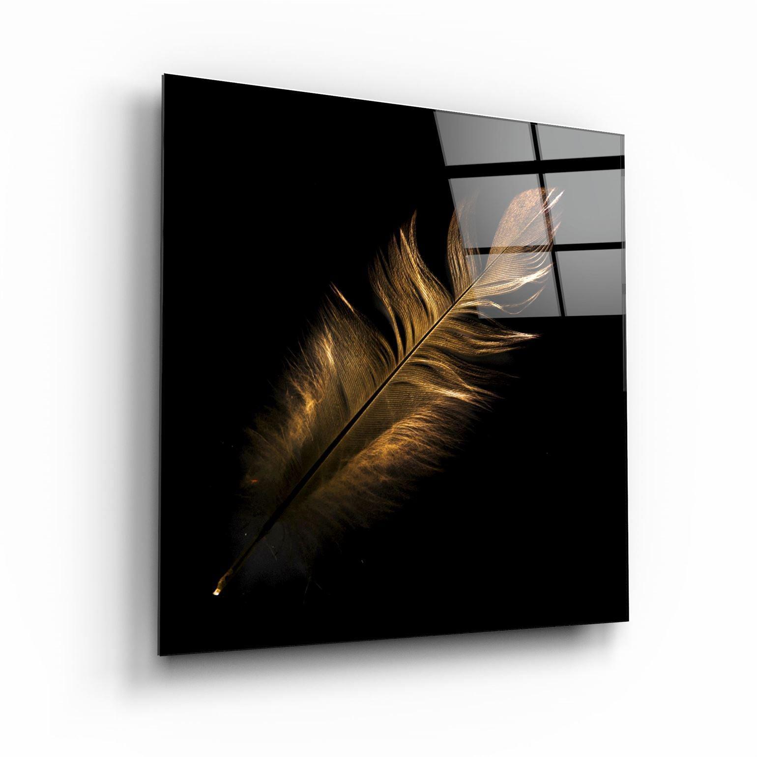 ・"Colorful Feather"・Glass Wall Art - ArtDesigna Glass Printing Wall Art