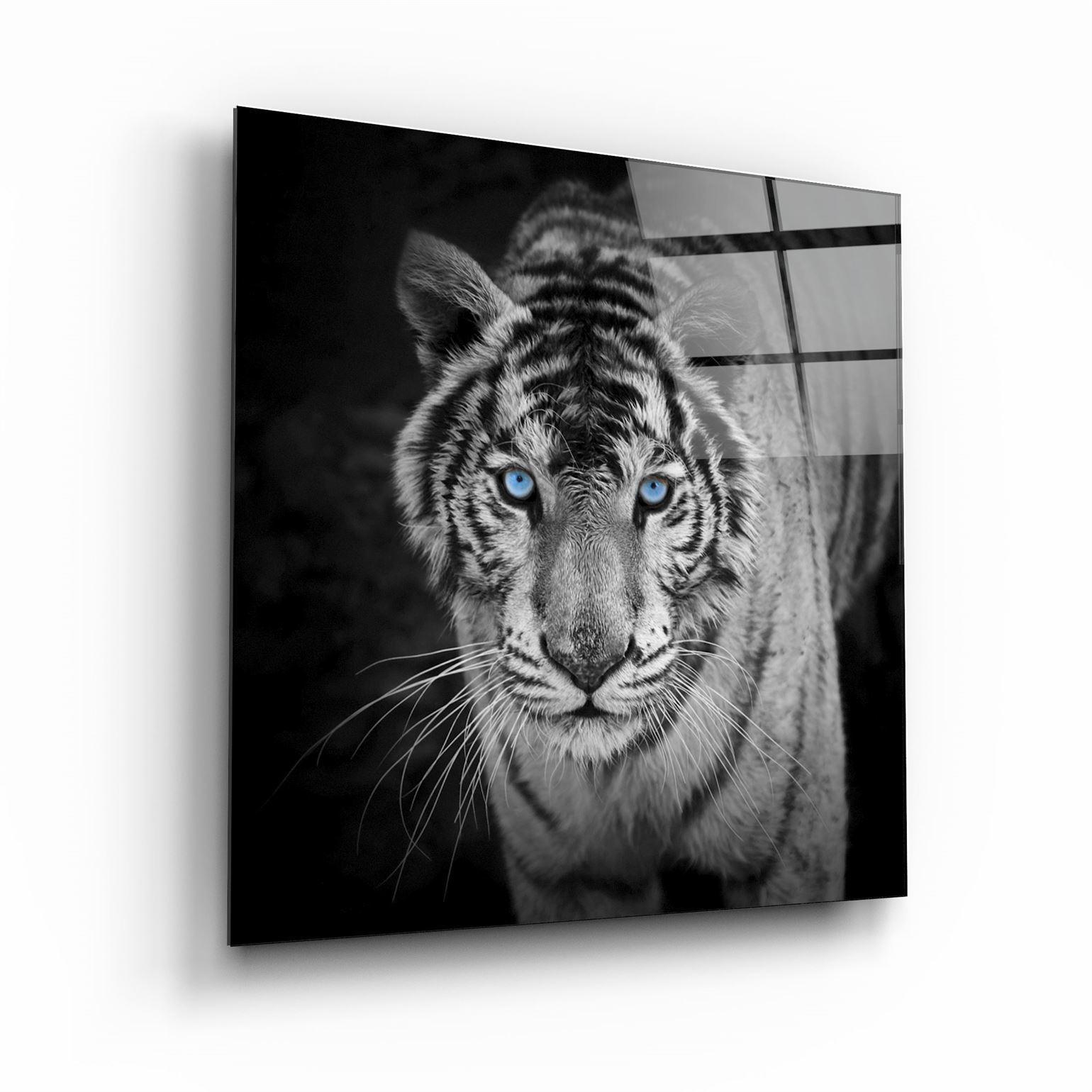 Majestic Stripes | Glass Wall Art - Artdesigna