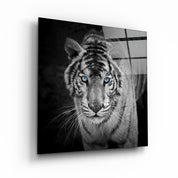 Majestic Stripes | Glass Wall Art - Artdesigna
