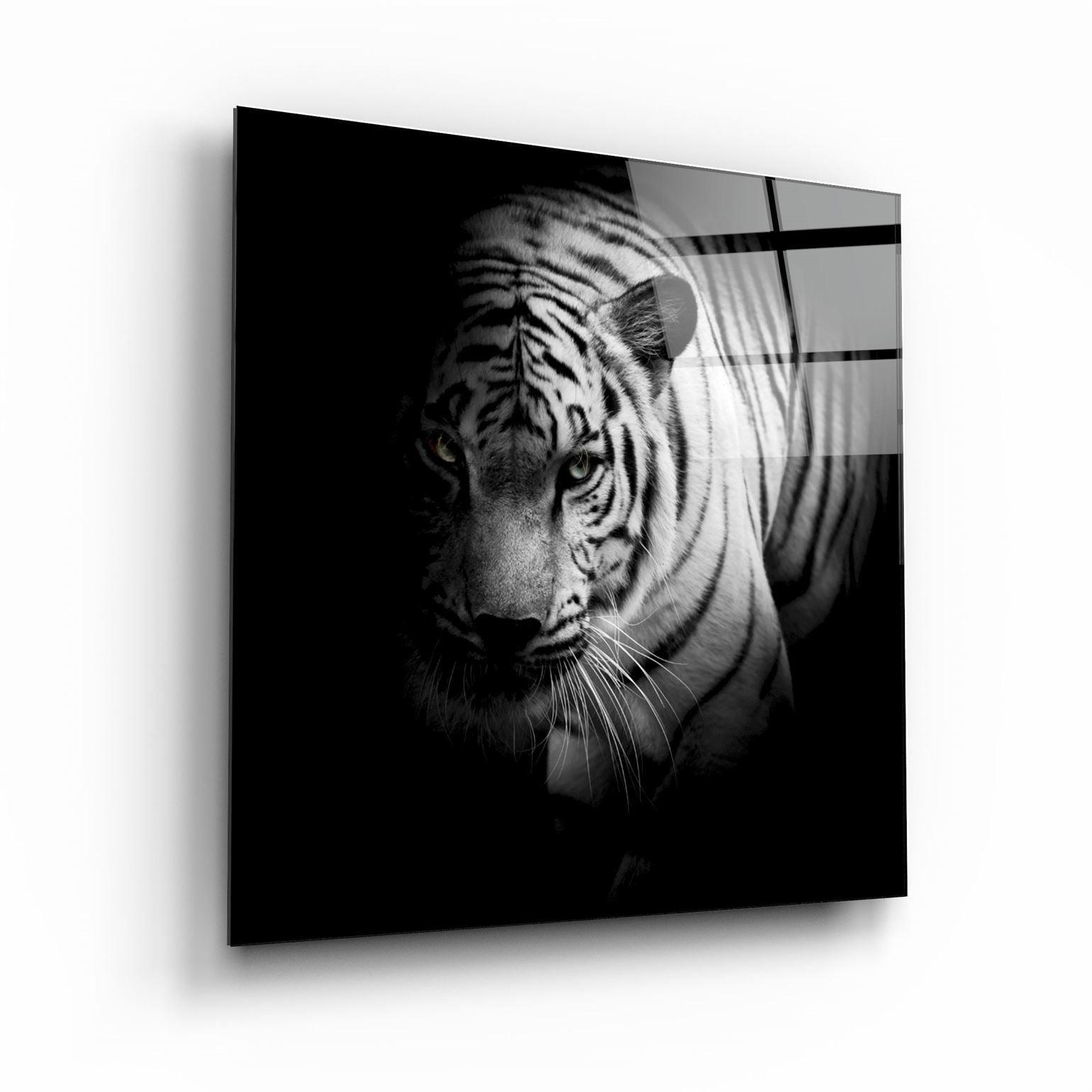 Guardian of the Night | Glass Wall Art - Artdesigna