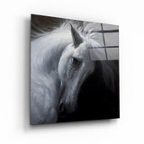 White Horse | Glass Wall Art