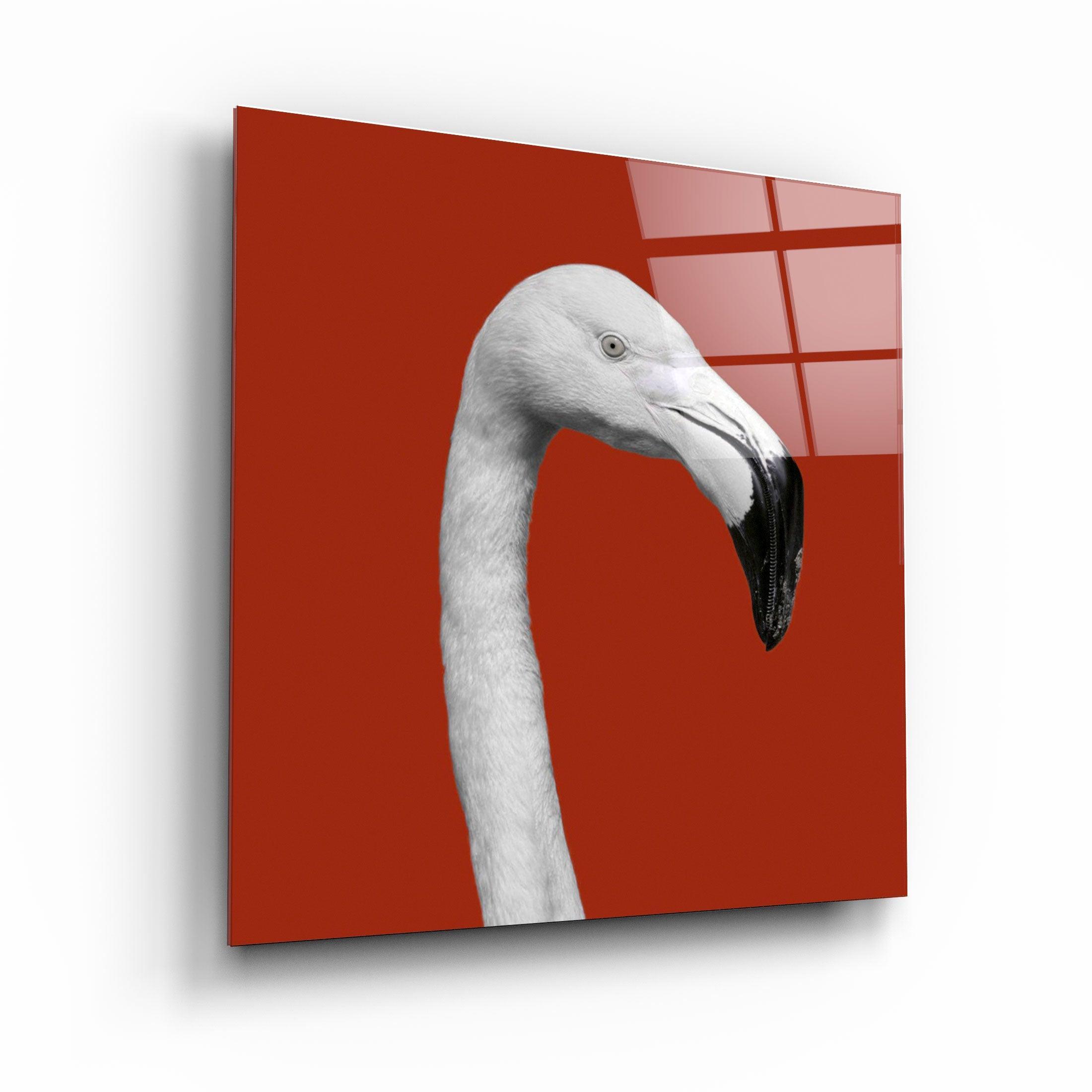 ・"Flamingo - Red"・Glass Wall Art - ArtDesigna Glass Printing Wall Art