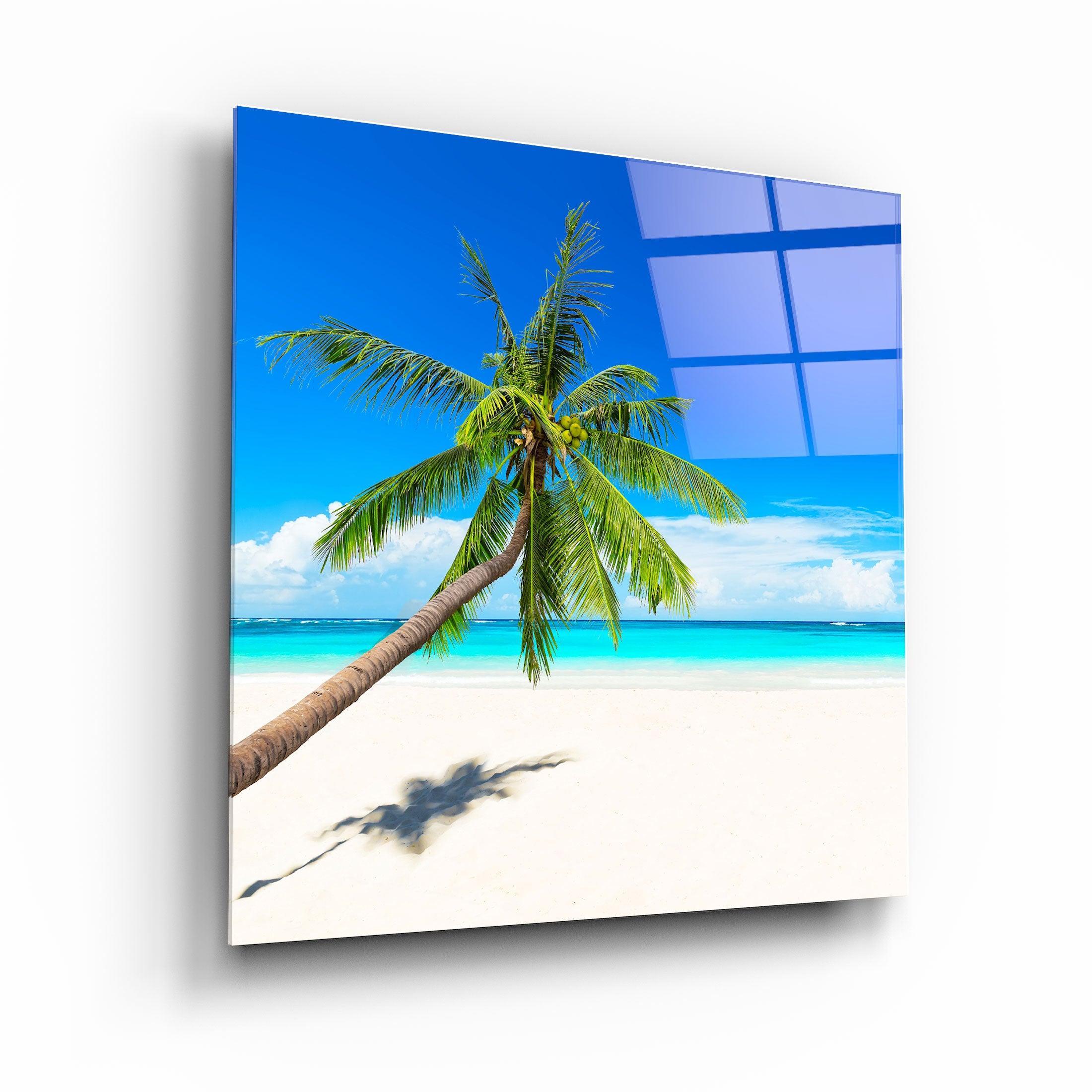 ・"Palm Tree"・Glass Wall Art - ArtDesigna Glass Printing Wall Art