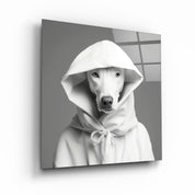 ."Stylish Dogs - V1". Designer's Collection Glass Wall Art - ArtDesigna Glass Printing Wall Art