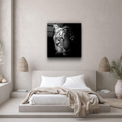 Tiger Black and White | Glass Wall Art - Artdesigna