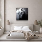 White Horse | Glass Wall Art - Artdesigna