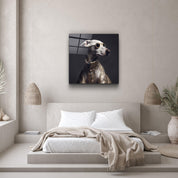 ."Stylish Dogs - V2". Designer's Collection Glass Wall Art - ArtDesigna Glass Printing Wall Art