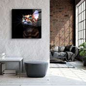 ・"Kitten"・Glass Wall Art - ArtDesigna Glass Printing Wall Art