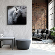 White Horse | Glass Wall Art - Artdesigna